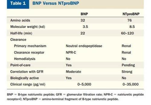 nt-probnp-est-le-m-me-que-bnp-non-pire-encore-hipro-biotechnology